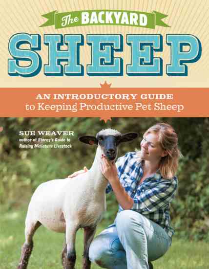 Learn everything you need to know about raising productive sheep, whether it’s two or a whole flock.
